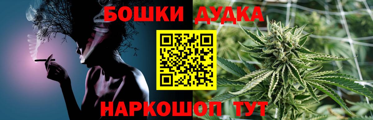 Бошки Шишки план Снежинск